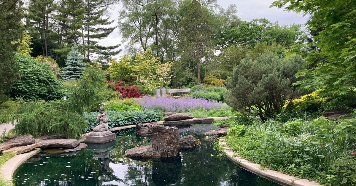 Gartenteich mit Bachlauf, umgeben von üppigen Pflanzen und Steinen im Garten