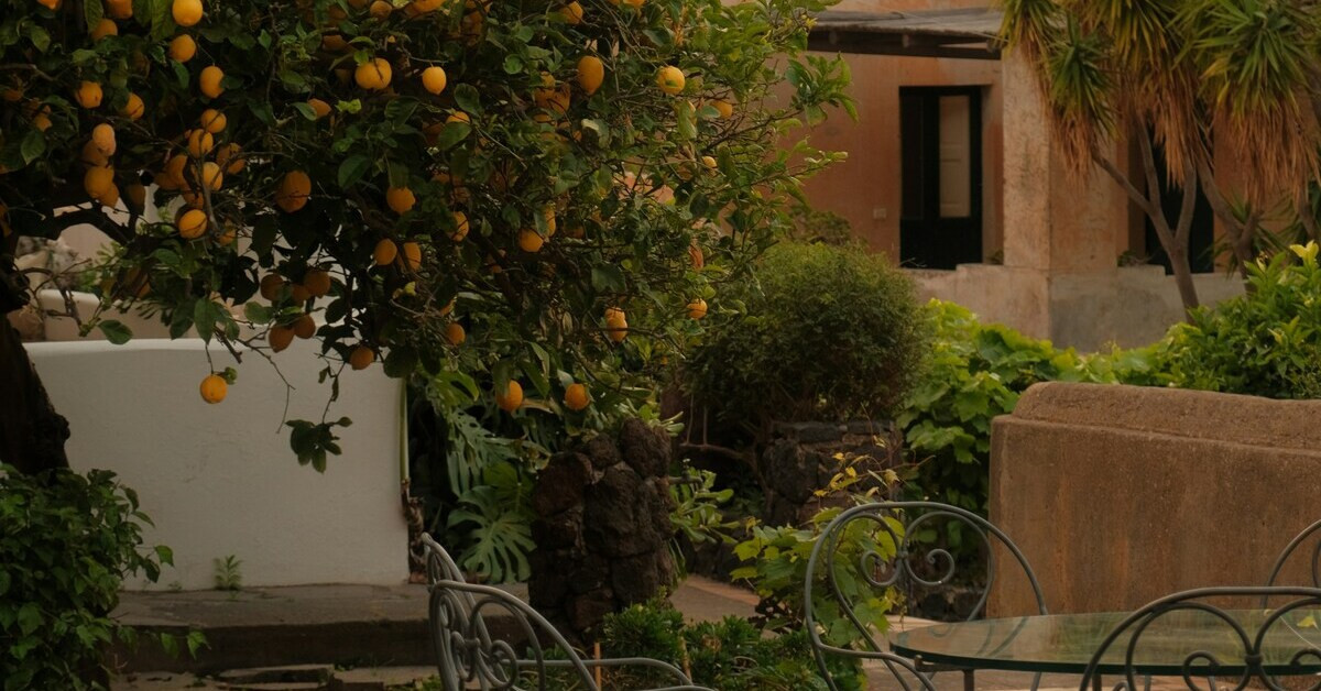 Mediterraner Stil: Zitronenbaum und Gartenmöbel in mediterranem Garten