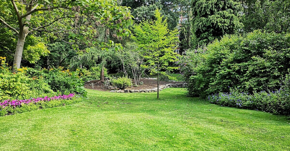 Grüner Garten mit Rasen, Bäumen und Sträuchern an einem sonnigen Tag