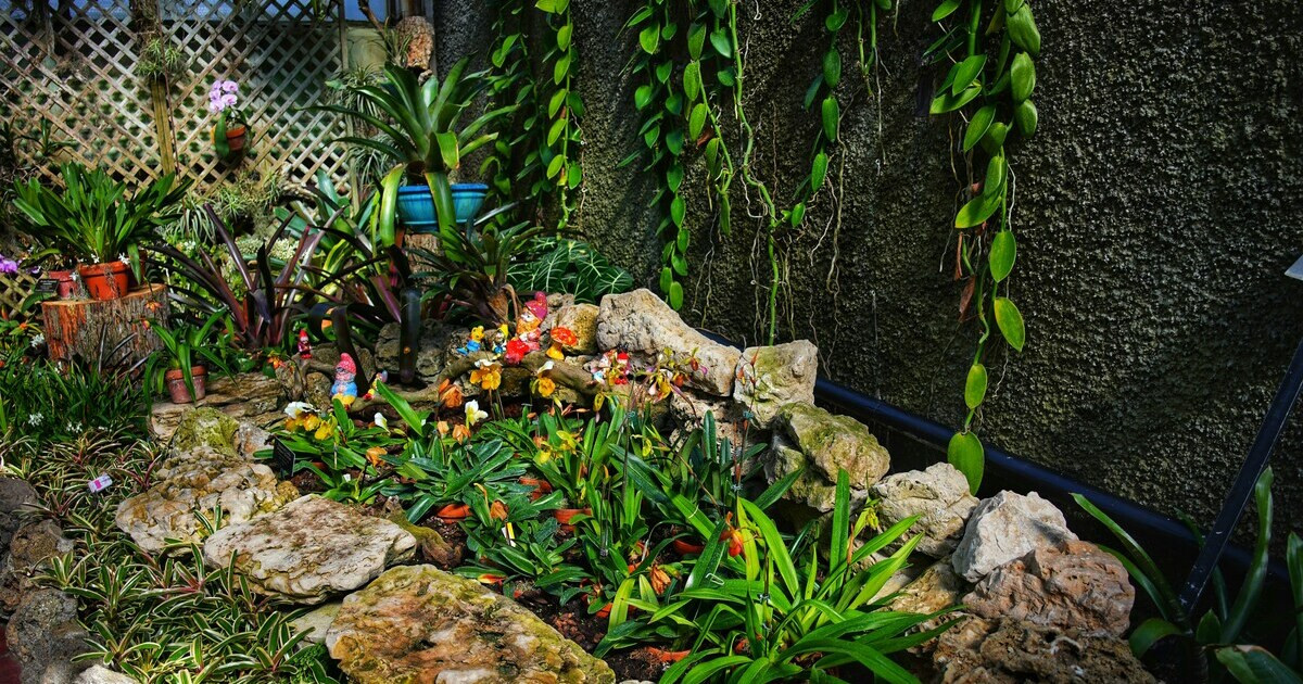 Kleine Gartenecke mit Steinen, Blumen und Gartenzwergen