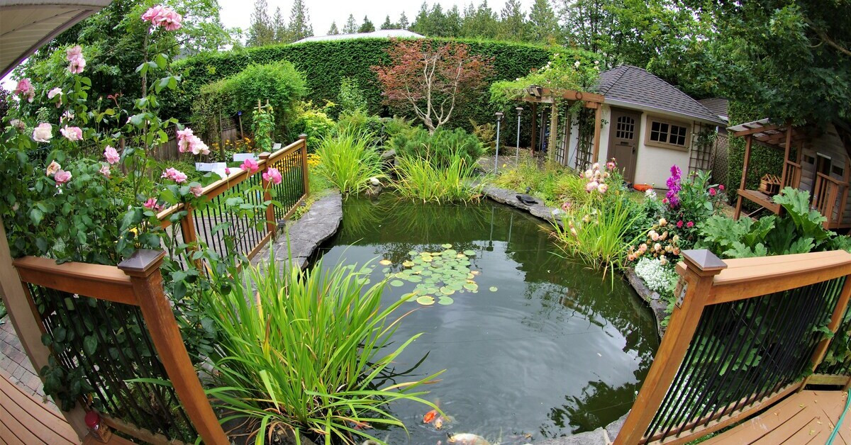 Gartenteich mit Seerosen und üppiger Bepflanzung in einem gepflegten Garten