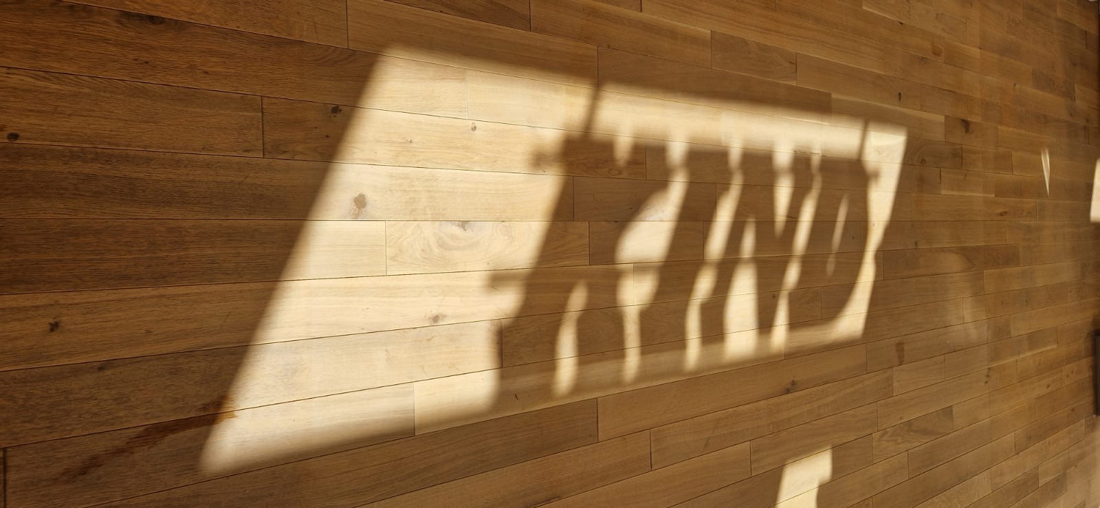 Schatten auf Holzfußboden, Symbolbild für Kind beim Hörakustiker und Optiker in Hannover