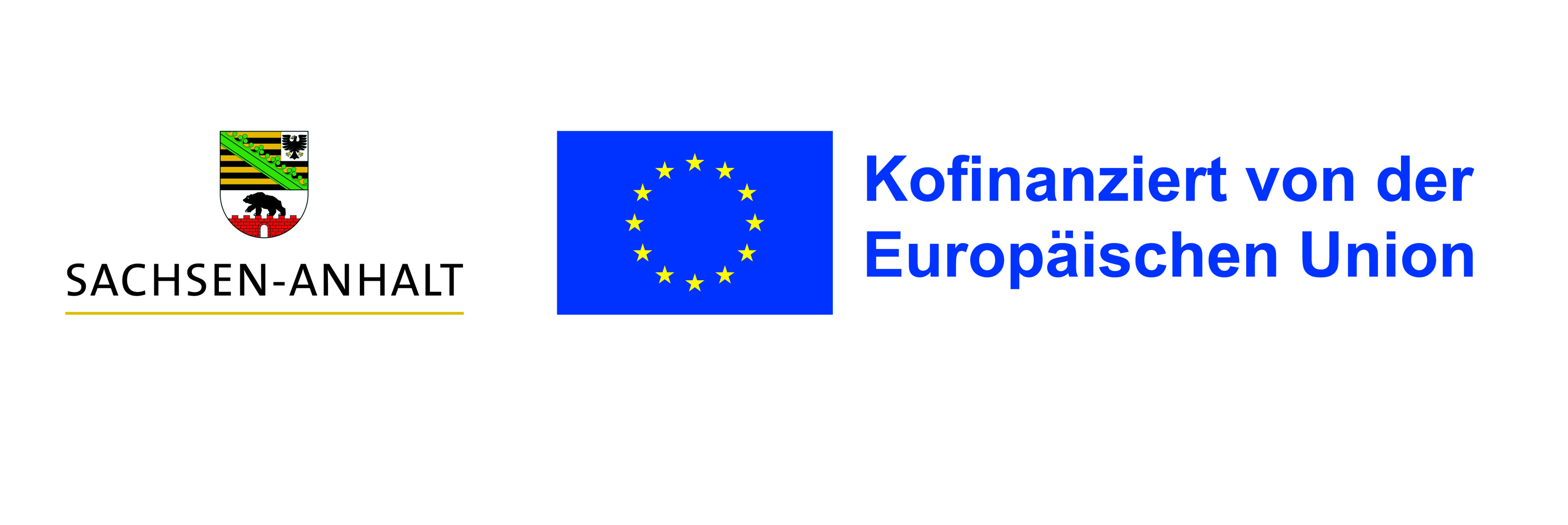 EU-Logo mit Hinweis auf Kofinanzierung durch die Europäische Union
