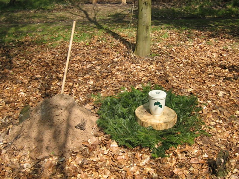 Friedwald