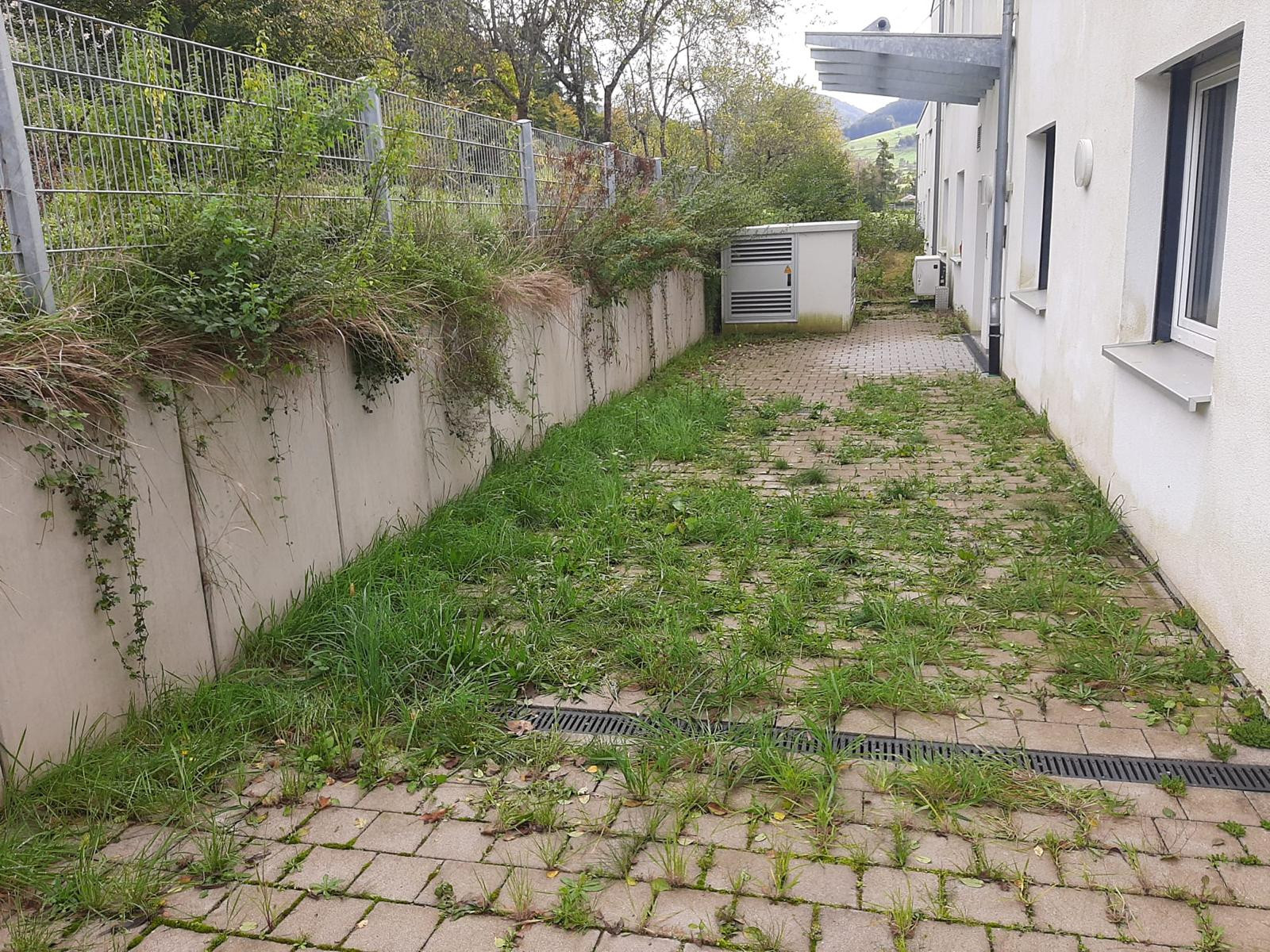 Verschmutzter und mit Unkraut bewachsener Steinweg vor der Steinreinigung, Aufnahme vom November 2025