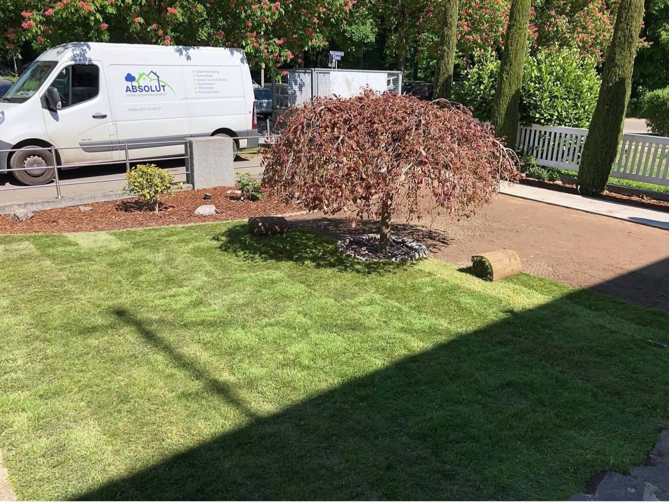 Frisch verlegter Rollrasen in einem Garten mit kleinem Baum und Landschaftsbau-Fahrzeug im Hintergrund