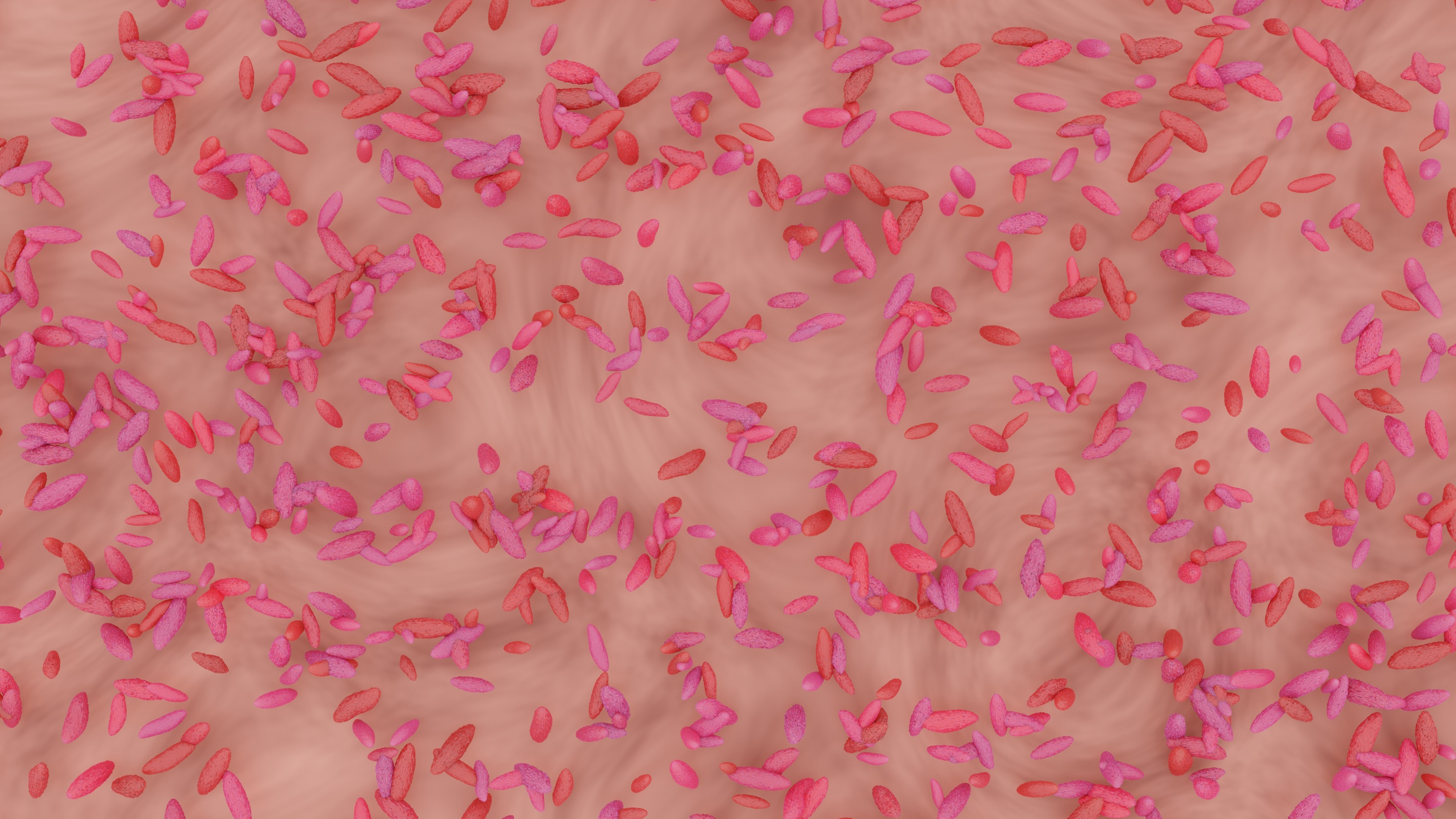 Bacteroidetes Mikroskopische Ansicht von Bakterien oder Mikroorganismen in rosa und rot auf einer organischen Oberfläche