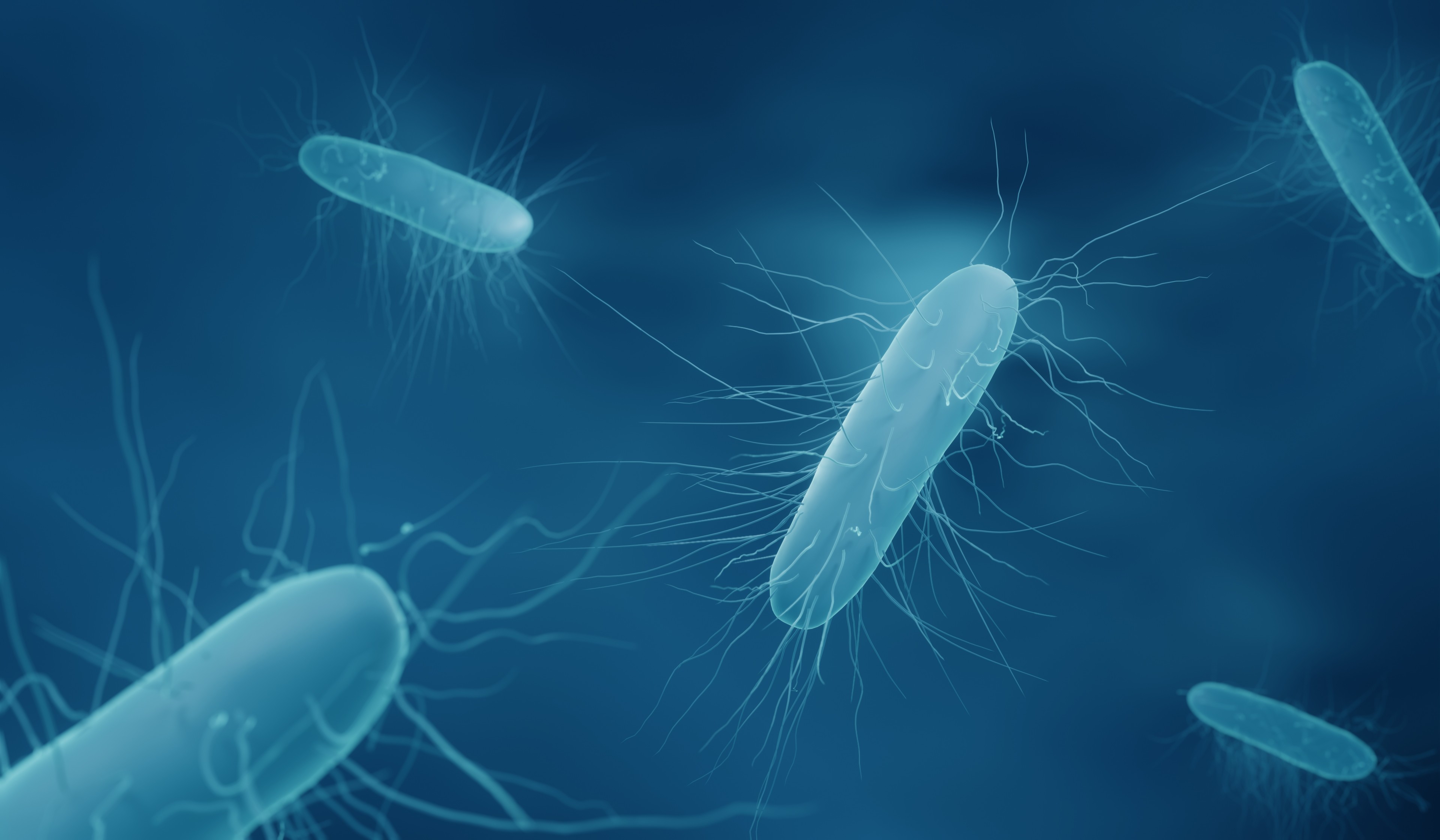 Clostridium Clostridium