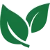 Zwei grüne Blätter Symbol, umweltfreundlich und naturverbunden