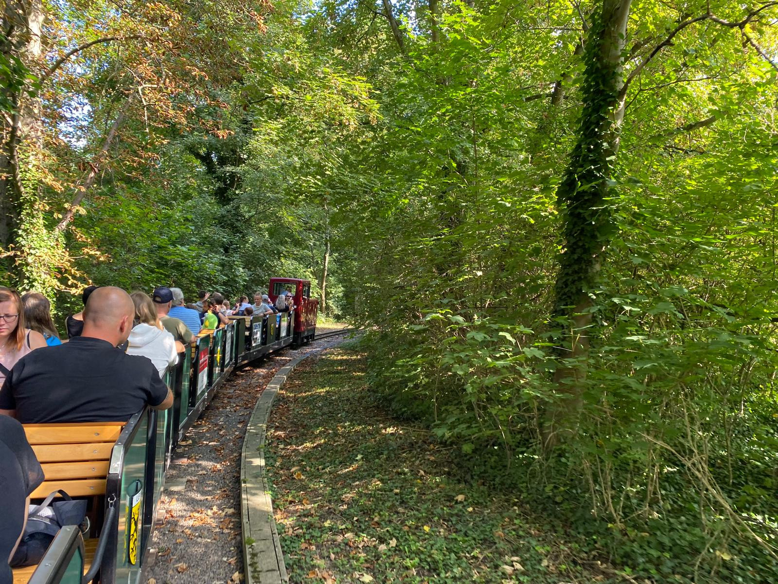 Kleine Eisenbahn mit Fahrgästen fährt durch grünen Wald an einem sonnigen Tag