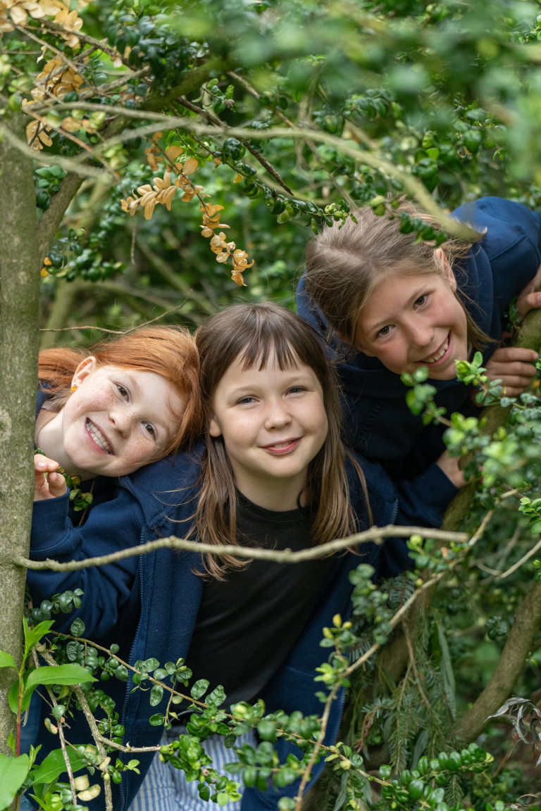 Kinder beim Spielen in der Natur in Seifhennersdorf Drei Kinder beim Spielen im Grünen in Seifhennersdorf