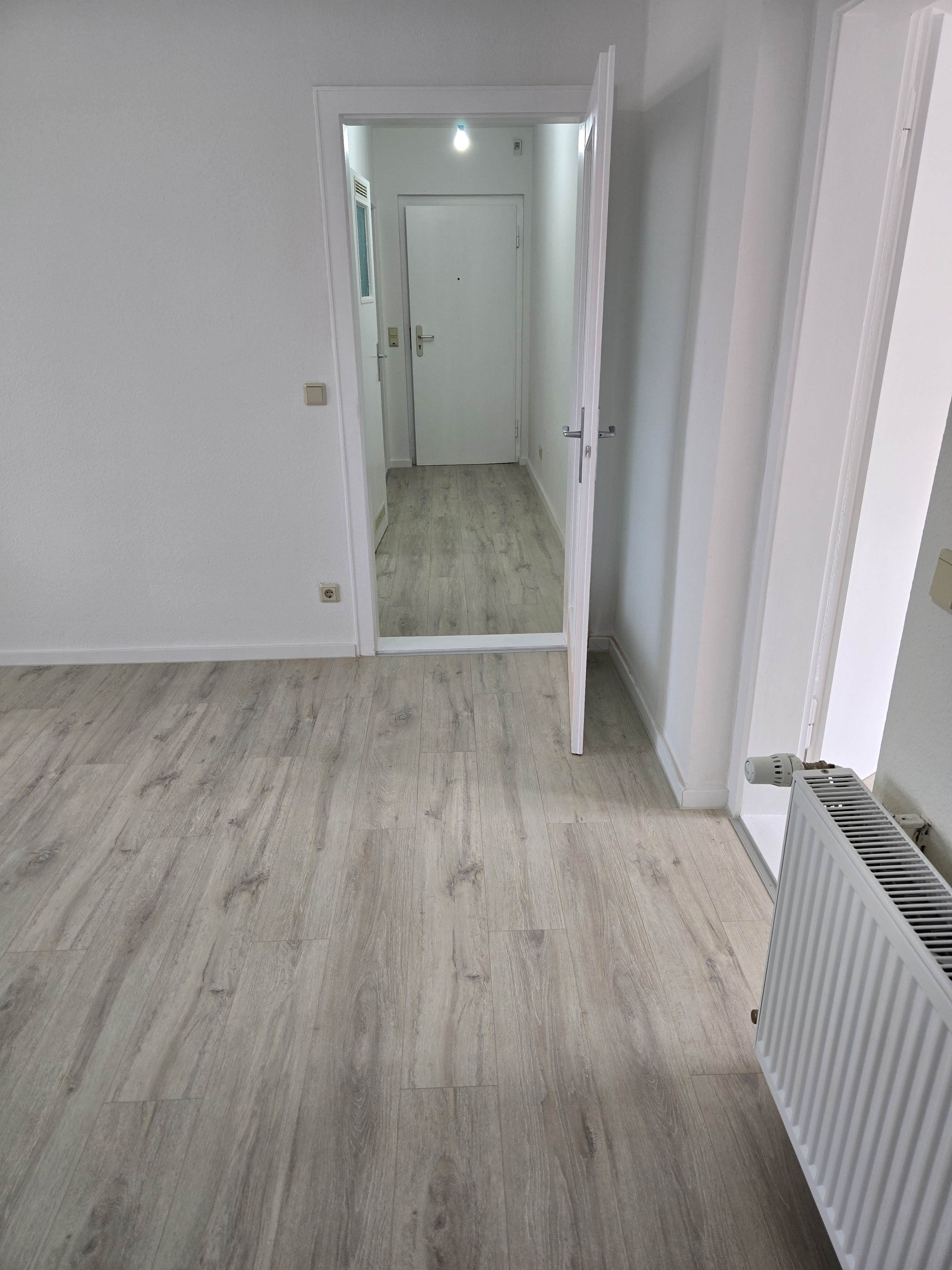 Heller Flur mit Laminatboden und weißer Tür in einer modernen Wohnung