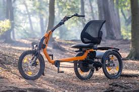 EasyRider Dreirad im Wald – modernes, orangefarbenes E-Bike für Erwachsene