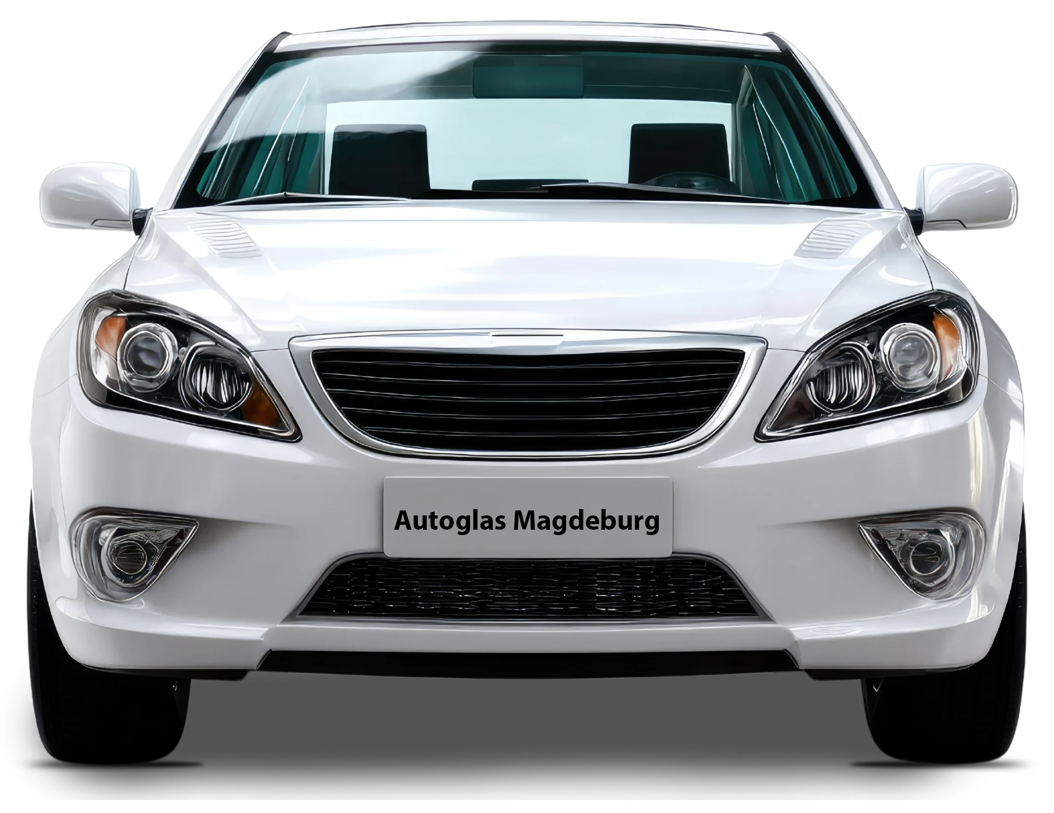 Weißer Pkw mit Schriftzug 'Autoglas Magdeburg' auf dem Kennzeichen – Headerbild der Startseite