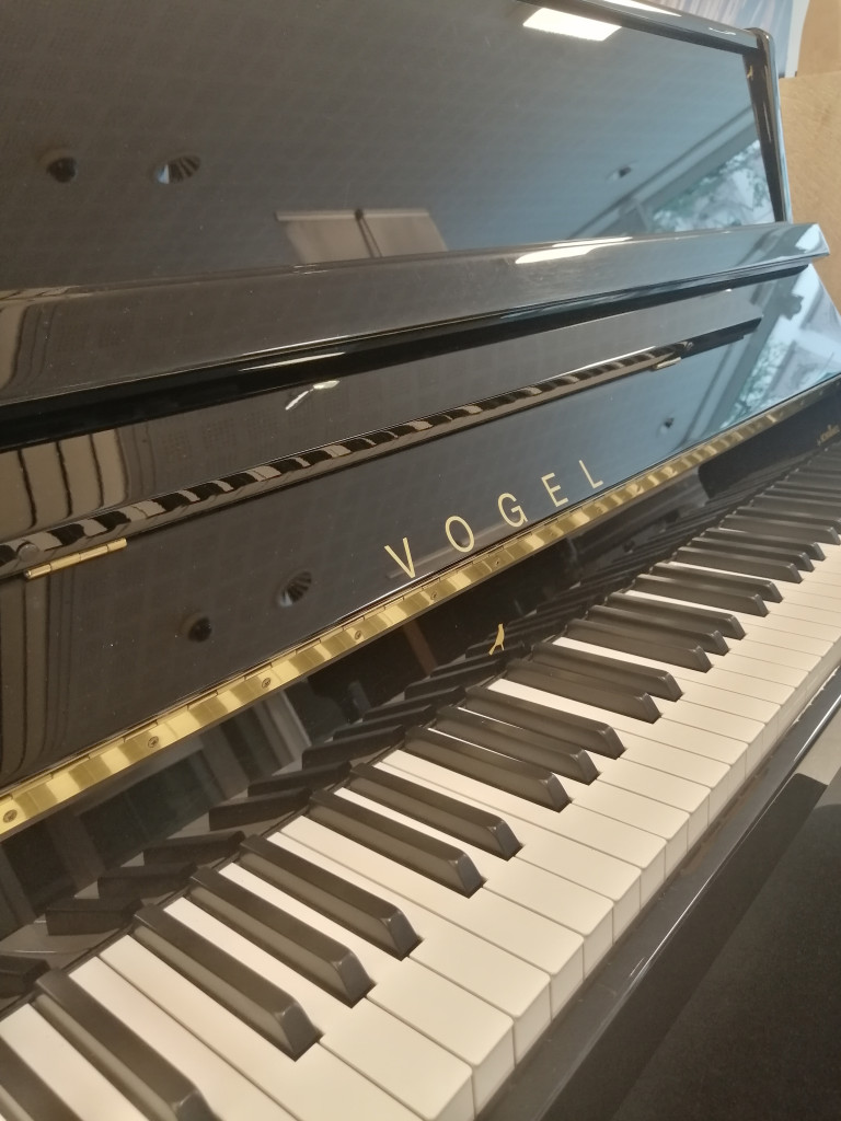 Nahaufnahme eines schwarzen Vogel Klaviers mit Tastatur
