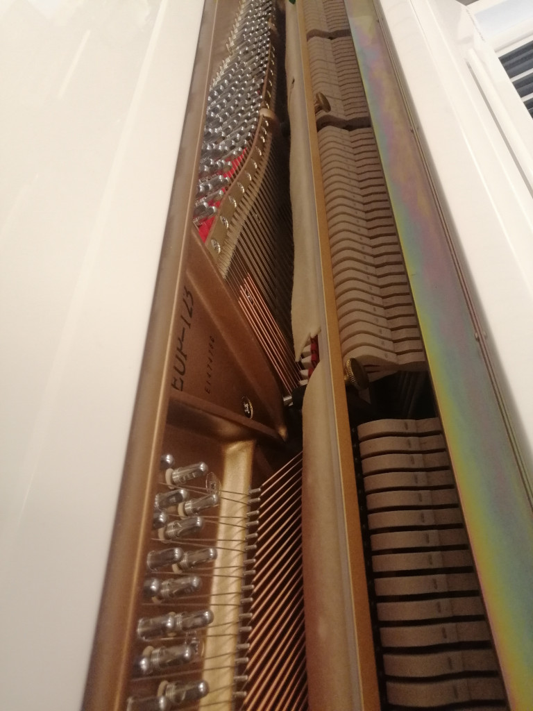 Innenansicht eines Klaviers mit Saiten und Hämmern, Modell EUP-123
