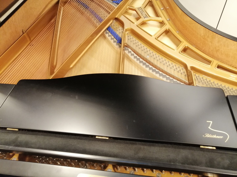 Geöffneter Bechstein Flügel – Detailansicht von Saiten und Resonanzboden Detailansicht eines geöffneten Bechstein Flügels mit sichtbaren Saiten und Resonanzboden