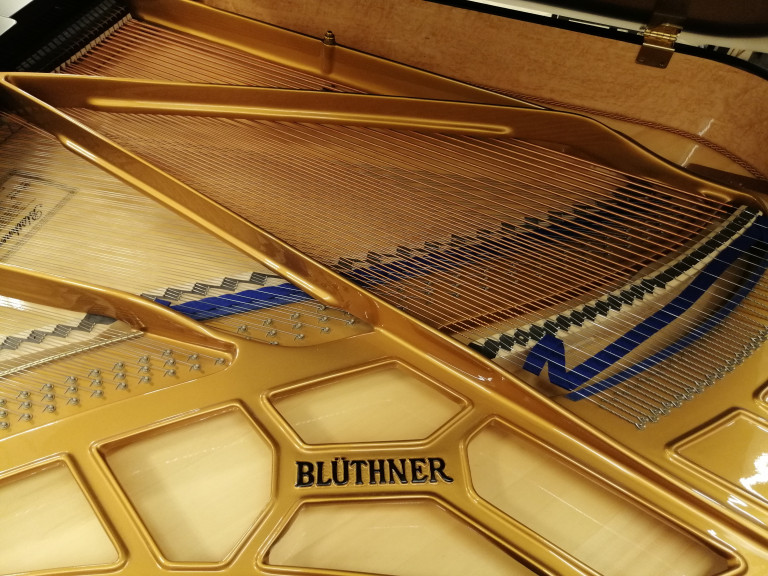 Blüthner Flügel – Detailaufnahme des goldenen Rahmens und der Saiten Detailansicht eines Blüthner Flügels mit goldener Rahmenkonstruktion und Saiten