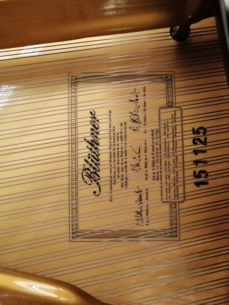 Zither von B. Bleichsteiner, Seriennummer 151125 – Detailansicht Detailaufnahme einer Zither von B. Bleichsteiner mit Seriennummer 151125