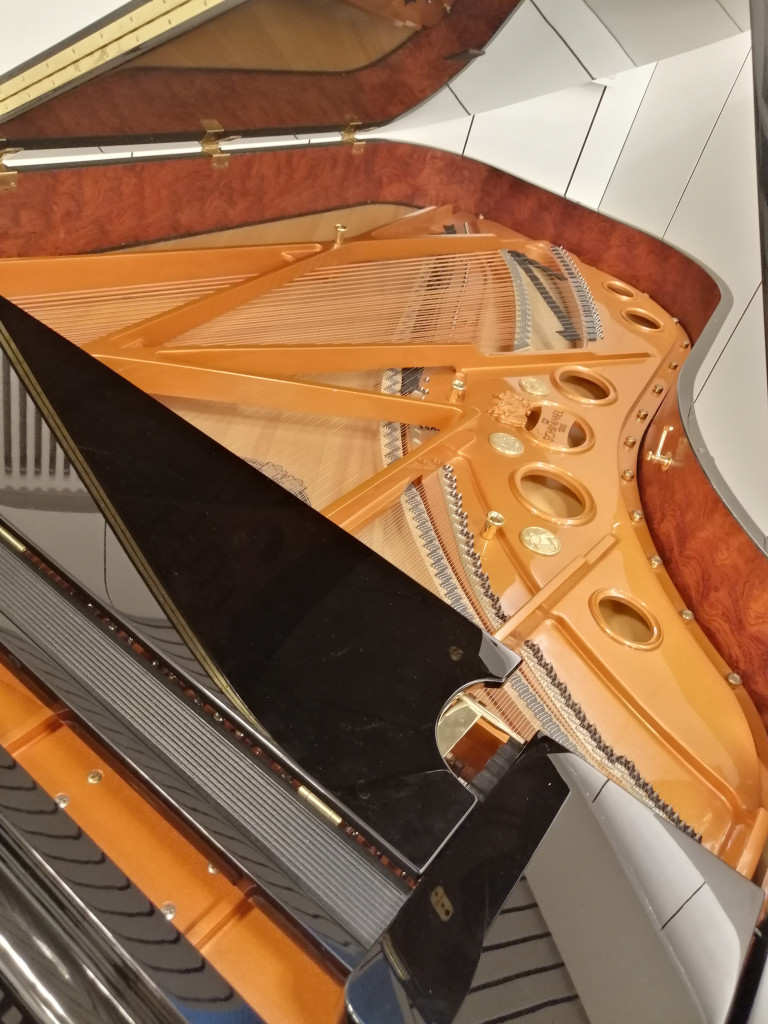 Konzertflügel Innenansicht – Saiten und Resonanzboden Detailaufnahme Detailaufnahme des Innenraums eines Konzertflügels mit sichtbaren Saiten und Resonanzboden