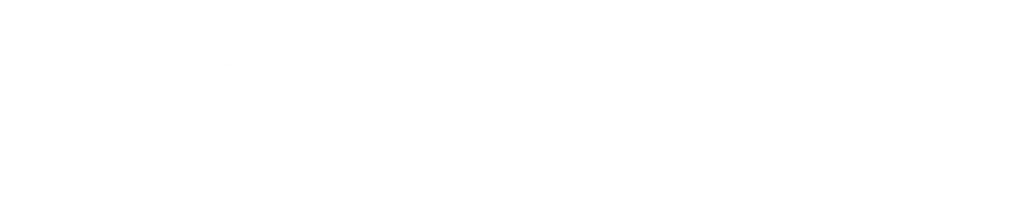 Logo der PET Tierpraxis Firmenlogo mit Schriftzug PET und Tierpraxis