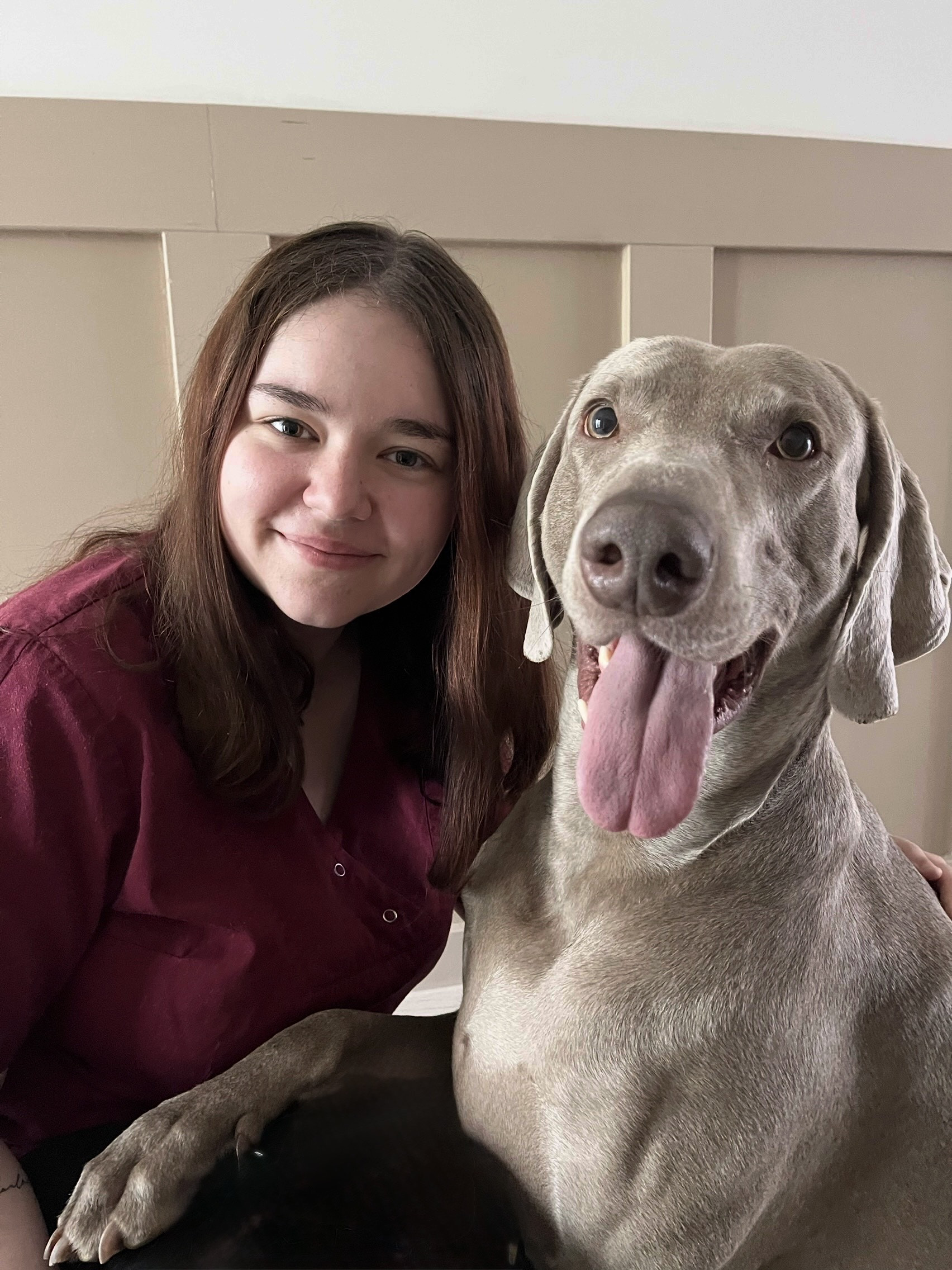Amy mit Weimaraner-Hund Amy mit einem frohlichen Weimaraner-Hund