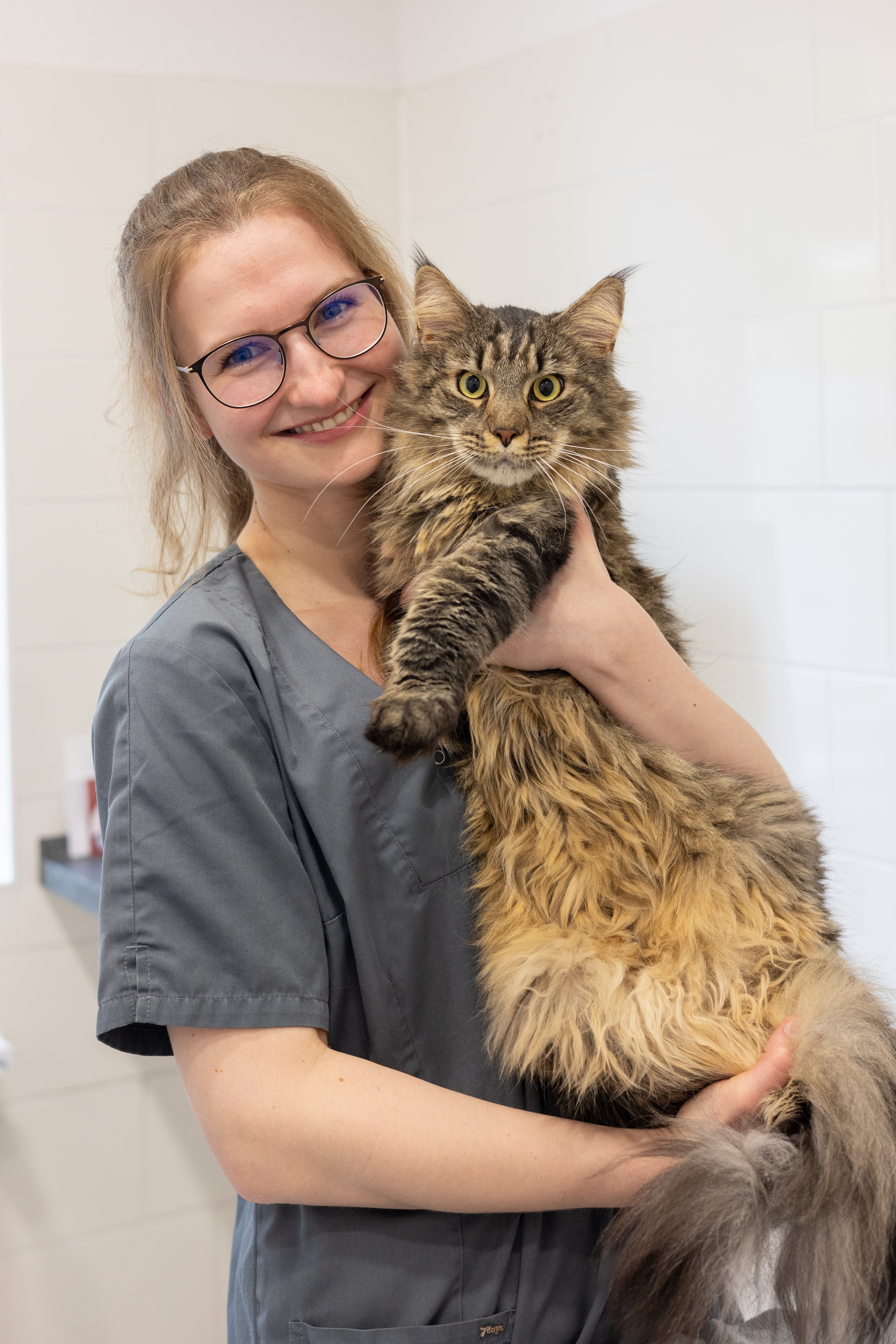 Teammitglied Frau Seeland hält eine große, langhaarige Katze in einer Tierarztpraxis