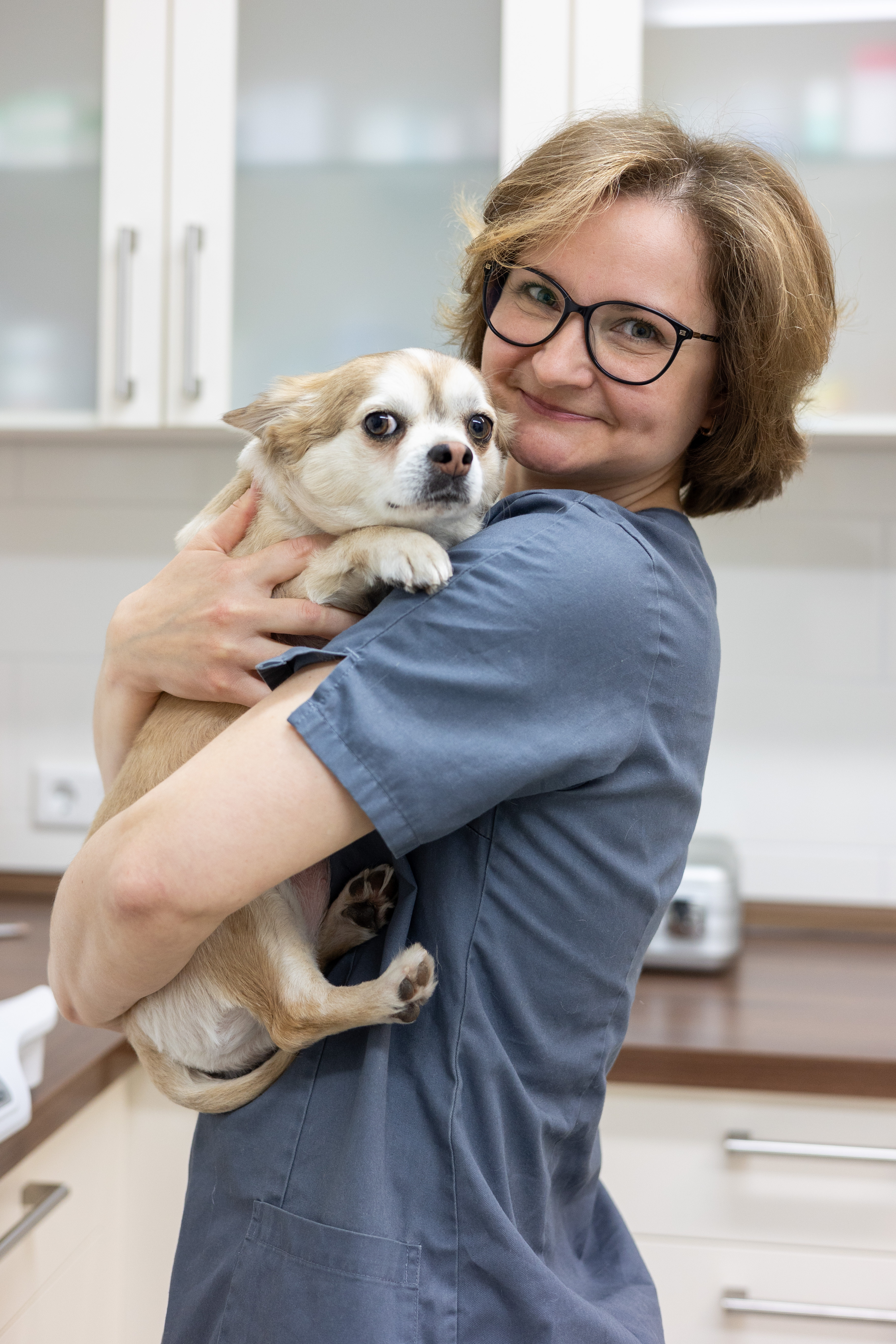 Teammitglied Frau Saienko hält einen kleinen Hund in der Tierarztpraxis