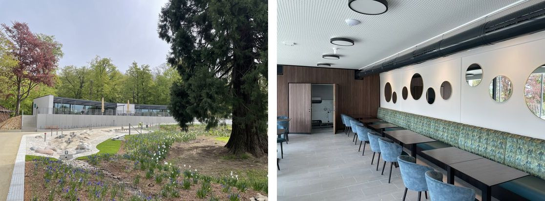 Vergleich draussen und drinnen: Natur mit Baum und moderner Innenraum
