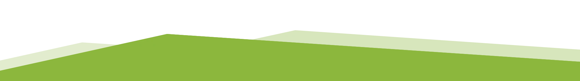 Header Grafik in grün als modernes Designelement