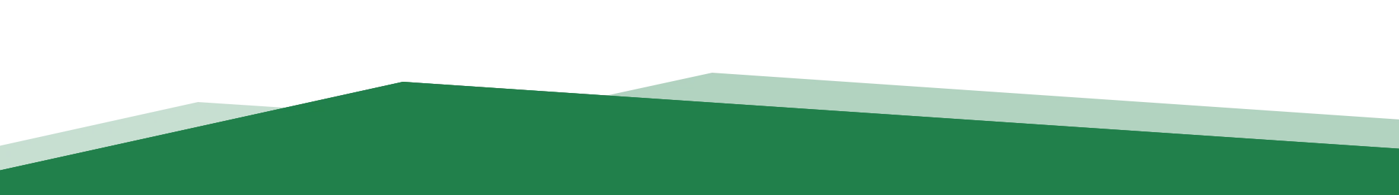 Header Grafik in dunkelgrün als abstraktes Designelement