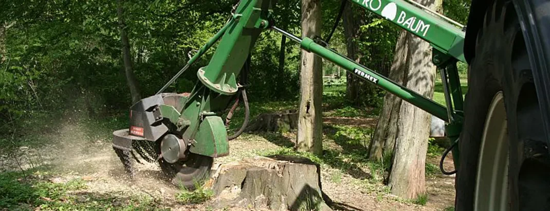 Fräsarbeiten an einem Baumstumpf im Wald mit einer grünen Fräse