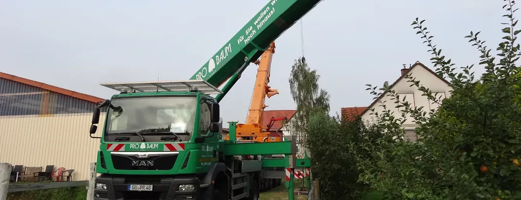 Kranfällungen mit großem Kranfahrzeug bei der Baumfällung in Wohngebiet