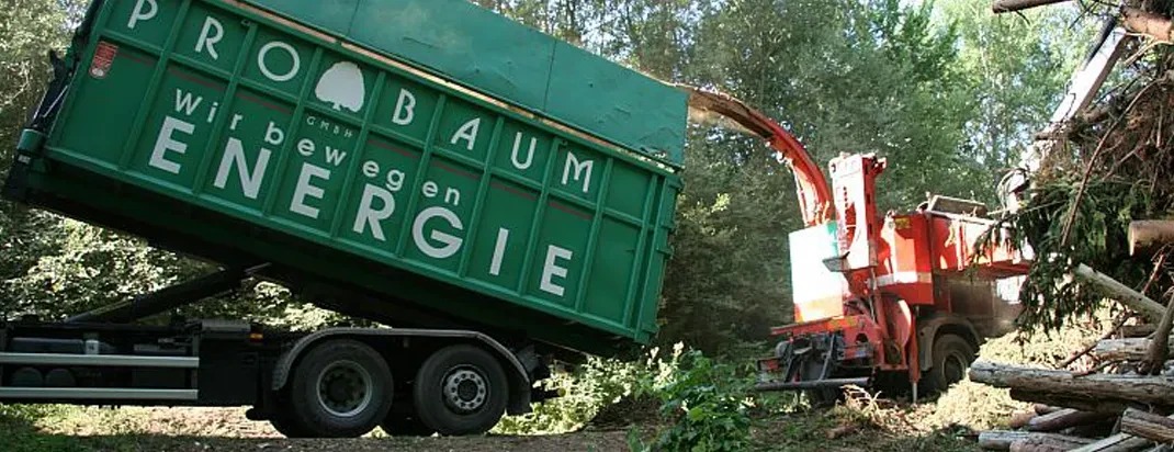Häckselarbeiten mit LKW und Häcksler im Wald – professionelle Entsorgung von Schnittgut