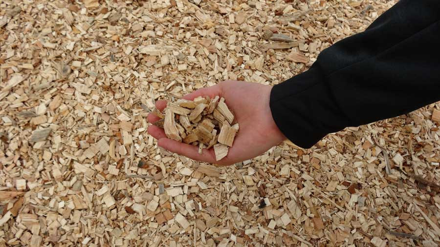 Hand hält Hackschnitzel – Holz-Hackschnitzeln als Biomasse