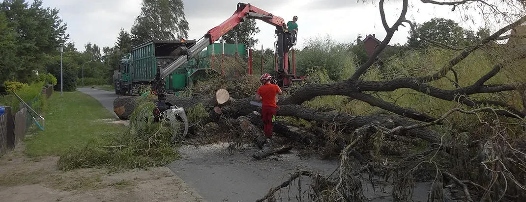 Stellenangebote Header: Forstarbeiter beim Zersägen und Verladen von Baumstämmen mit schwerem Gerät