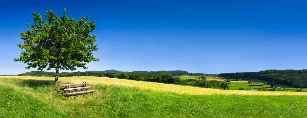 Idyllische Landschaft, grüne Wiese und blauer Himmel