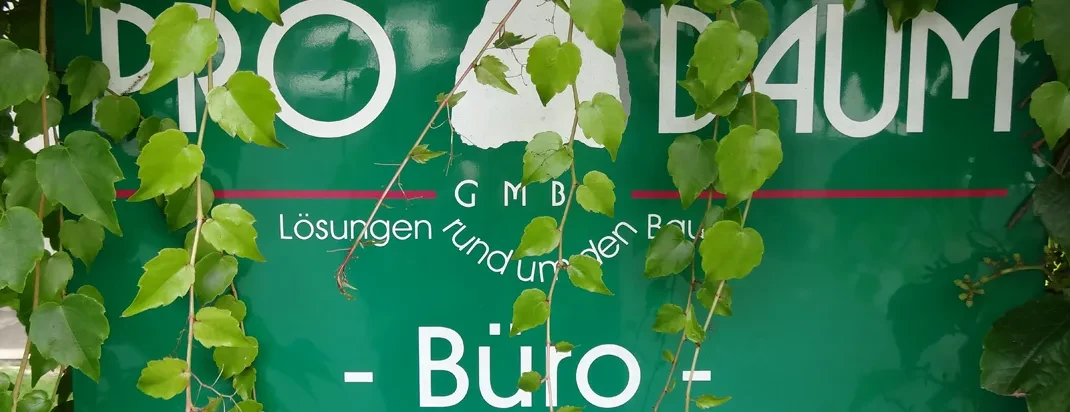 Grünes Firmenschild und Büro-Beschriftung, teilweise von Blättern verdeckt