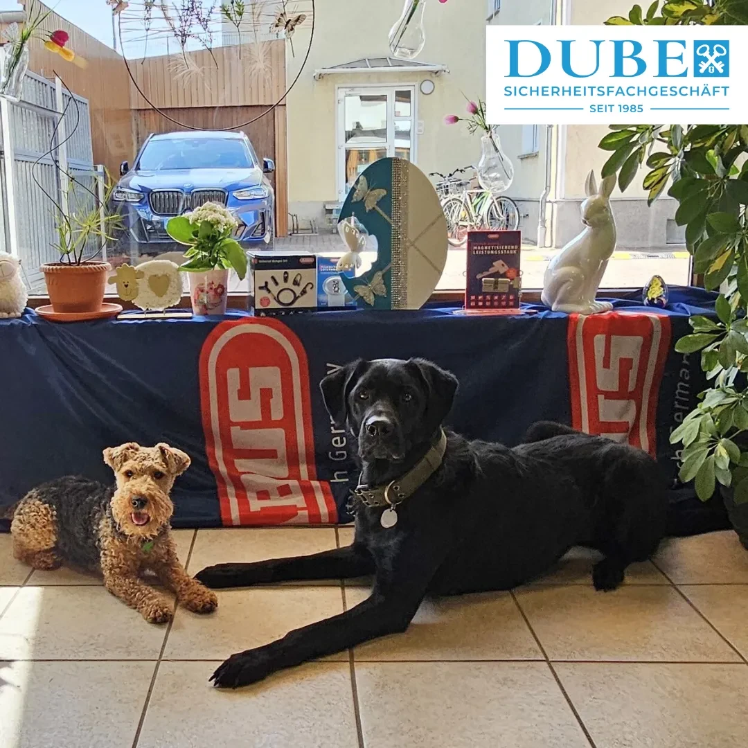 Zwei Hunde im Sicherheitsfachgeschäft Dube vor einem dekorierten Tisch mit Pflanzen und Osterdekoration