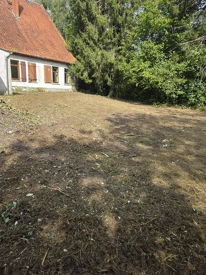 Grundstück nach der Grundstückspflege mit freigeräumter Fläche vor einem Haus