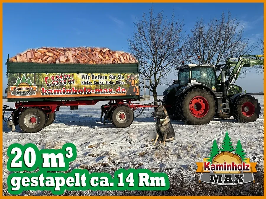 Liefergebiet Leipzig: Kaminholz Lieferung von Kaminholz Max mit Traktor und Anhänger voller Brennholz im Winter