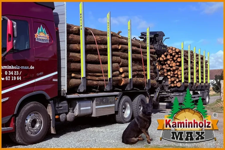 Kaminholz Max – Lieferung von Kaminholz im Liefergebiet Halle Saale LKW mit Kaminholz von Kaminholz Max im Liefergebiet Halle Saale, Hund im Vordergrund