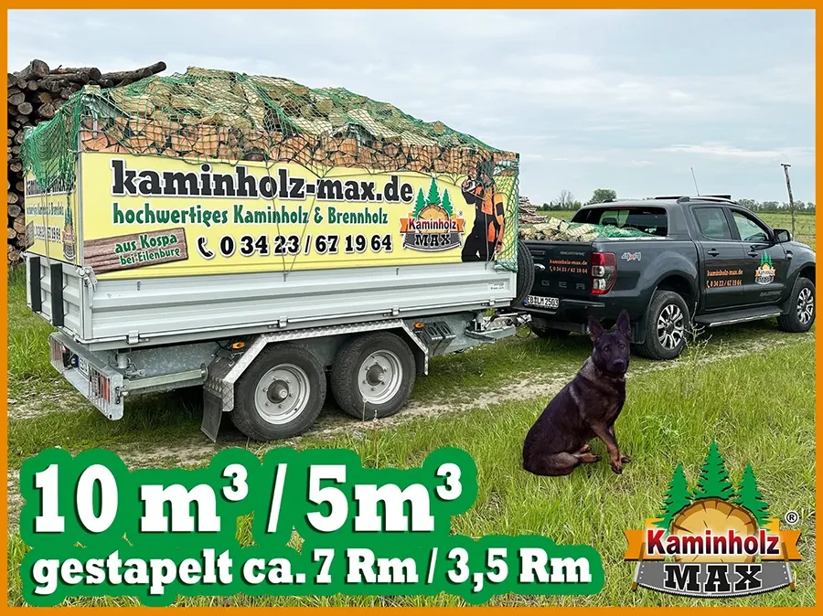 Liefergebiet Halle Saale Kaminholz Max – hochwertiges Kaminholz und Brennholz auf Anhänger mit Werbebeschriftung, Hund und Fahrzeug auf Wiese