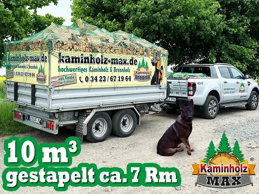 Anhänger mit Kaminholz von kaminholz-max.de und Hund, Lieferung hochwertiges Brennholz aus Kospa bei Eilenburg