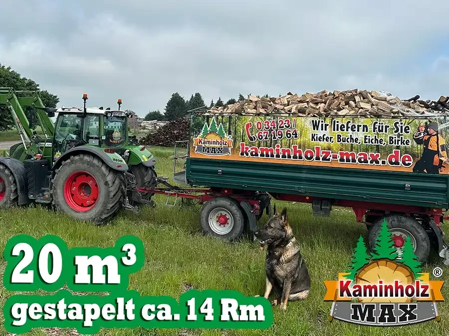 Traktor mit Anhänger voller Kaminholz von Kaminholz Max im Februar 2026, Lieferung von Kiefer, Buche, Eiche und Birke, Hund im Vordergrund