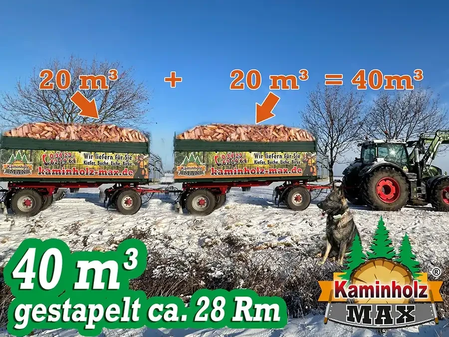 Zwei Anhänger mit Kaminholz von kaminholz-max.de im Winter, jeweils mit 20 m³ Holz, insgesamt 40 m³, neben einem Traktor und Hund.