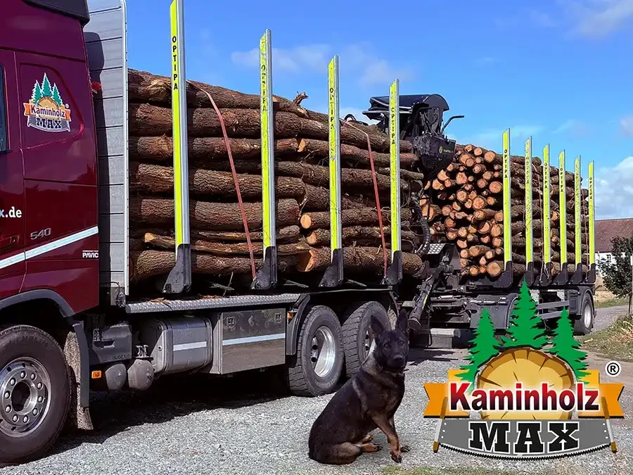 Holztransporter mit geladenem Kaminholz und Hund im Vordergrund, Kaminholz-Markt Logo, Februar 2026