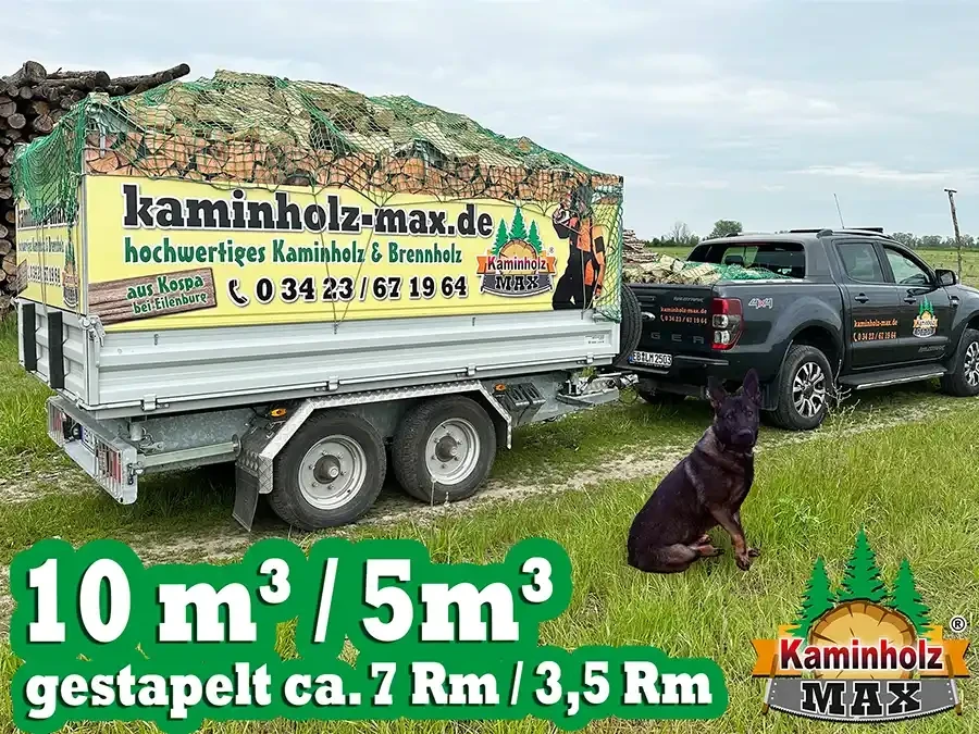 Anhänger mit Kaminholz von kaminholz-max.de und Hund auf Wiese, Werbung für hochwertiges Kaminholz und Brennholz aus Kospa bei Eilenburg