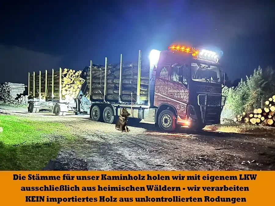 Holztransporter bei Nacht mit Kaminholz aus heimischen Wäldern, Februar 2026, nachhaltige Forstwirtschaft