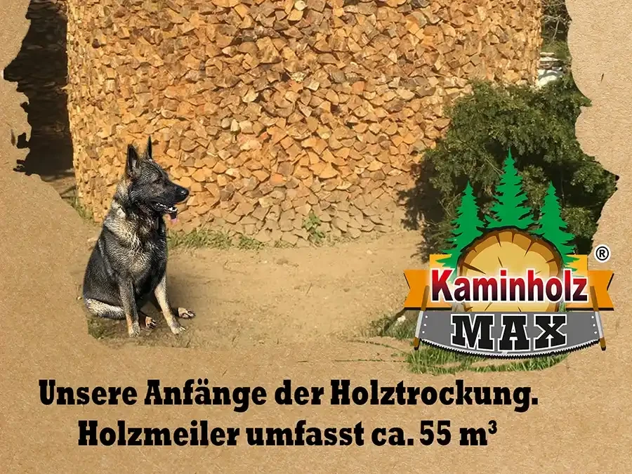 Holzmeiler mit ca. 55 m³ Holz, Hund und Kaminholz MAX Logo, Anfänge der Holztrocknung im Februar 2026